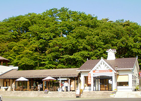 Michi-no-eki Katsuyama（公路服务区）